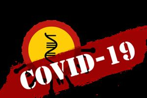 COVID - 19 (upřesnění pojmů)